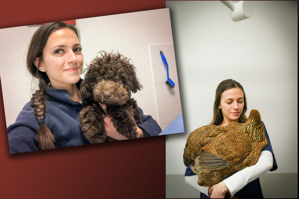 Tierpraxis-Assistentin Sophie mit einem Hund und mit einem Huhn